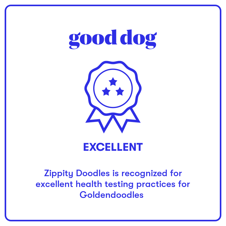 Zippity Doodles Excellent rating